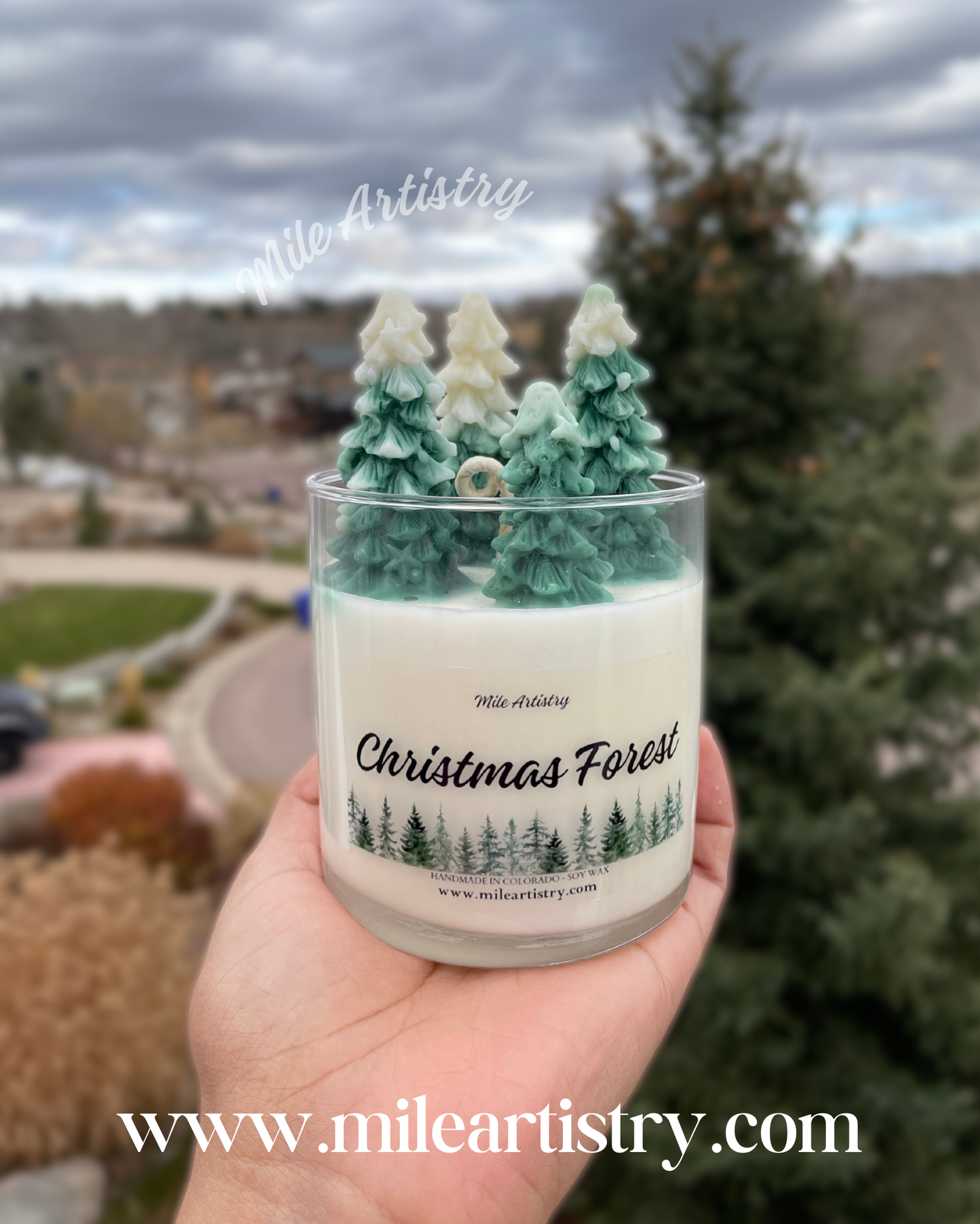 🌲Christmas Forest — Blue Spruce Candle